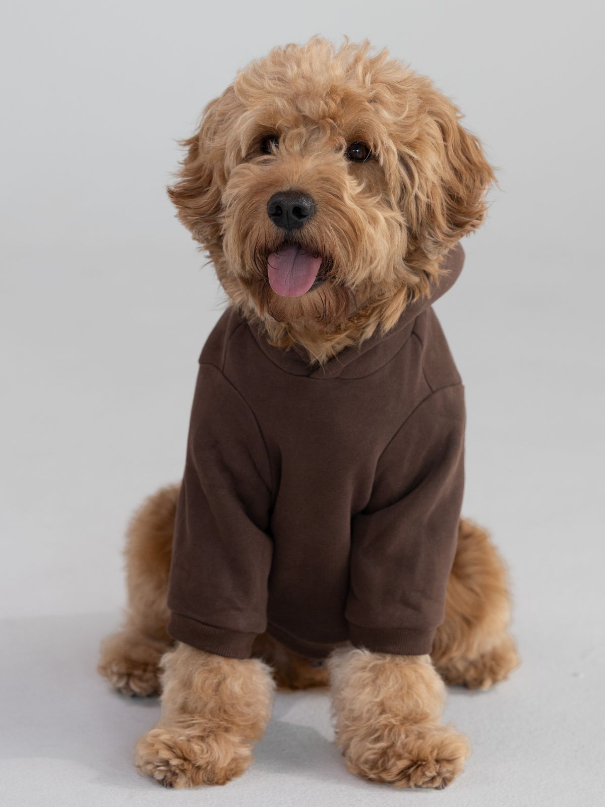Standard Paw Hoodie - Pre-Order