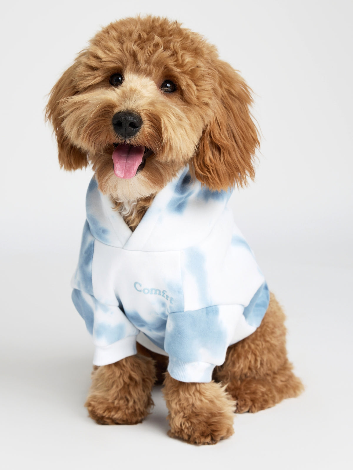 Minimalist Paw Hoodie - Pre-Order