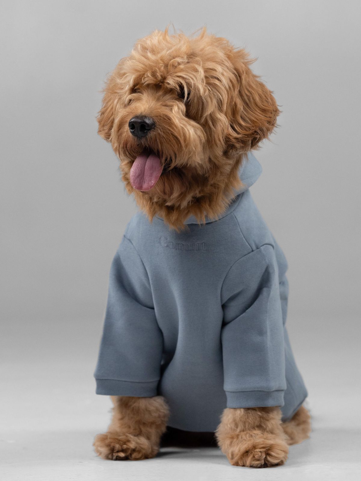 Signature Paw Hoodie -Pre Order