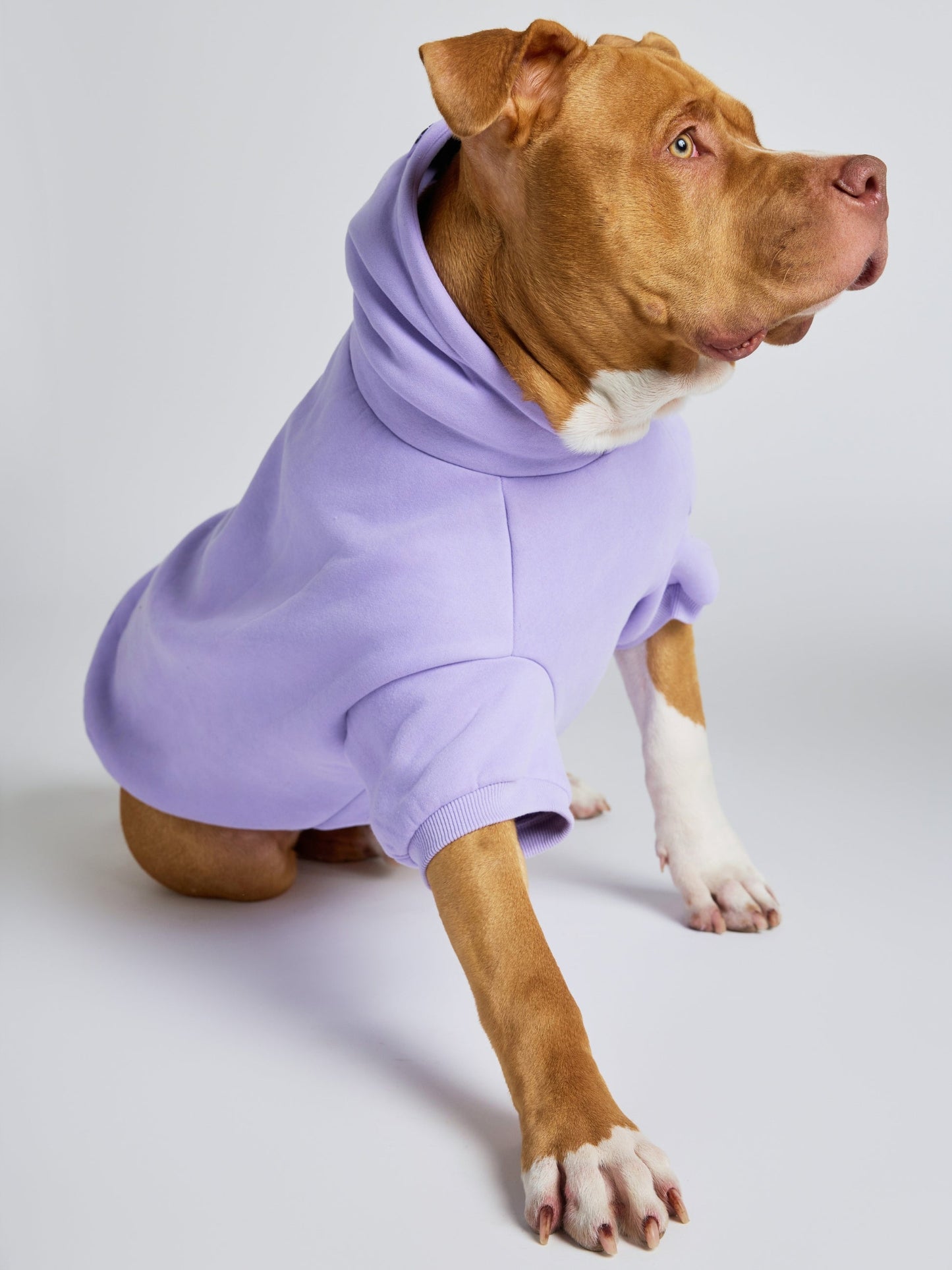 Pastel Paw Hoodie