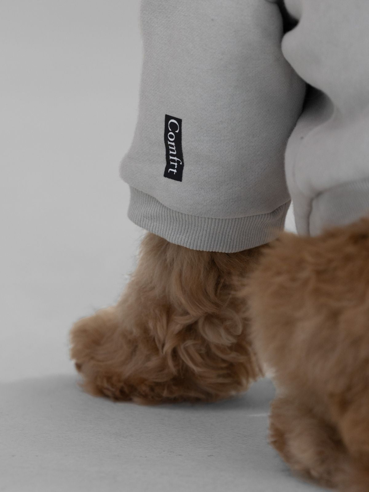 Standard Paw Hoodie - Pre-Order