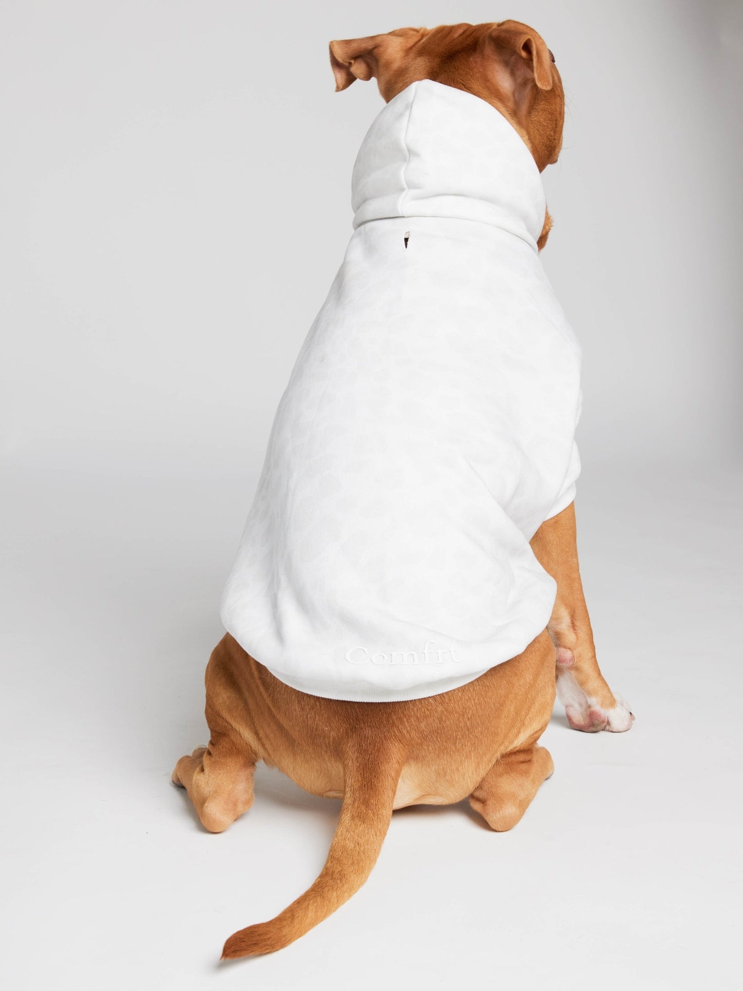 Minimalist Paw Hoodie - Pre-Order