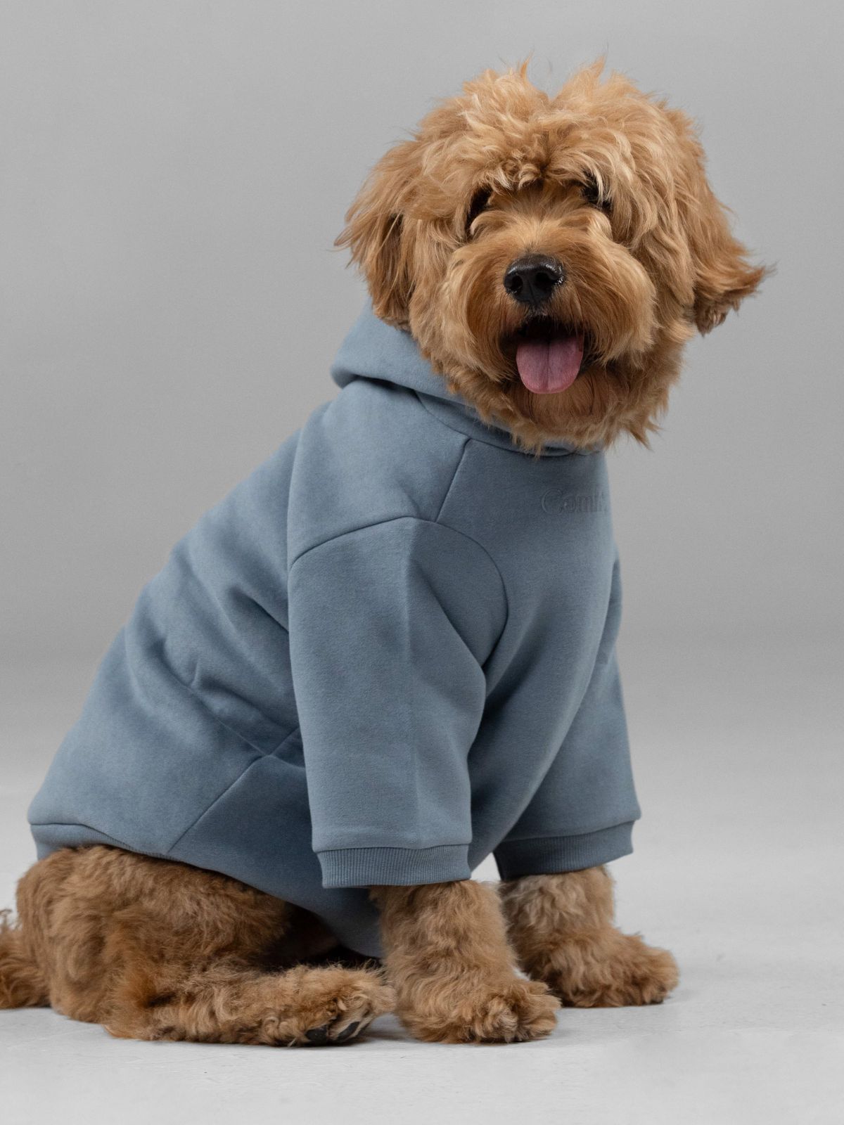 Signature Paw Hoodie -Pre Order